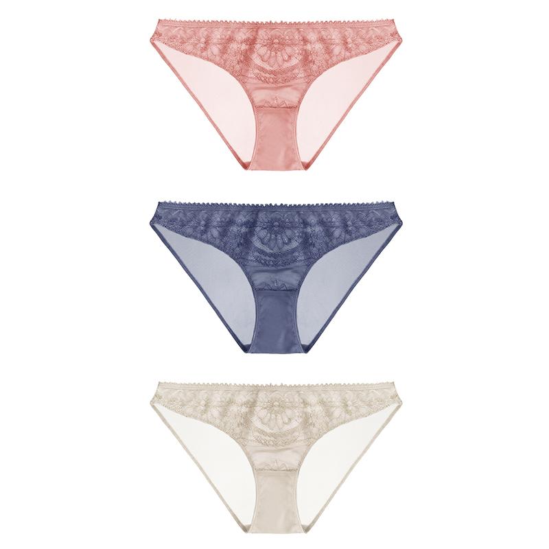 HSIA Mystery Soft Lace Mesh Panties Set (3-Pack)