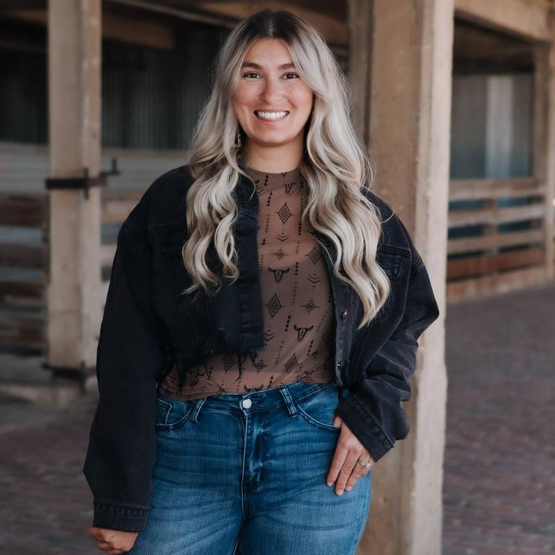 Brown Aztec Steer Sheer Top See Through Mesh Top