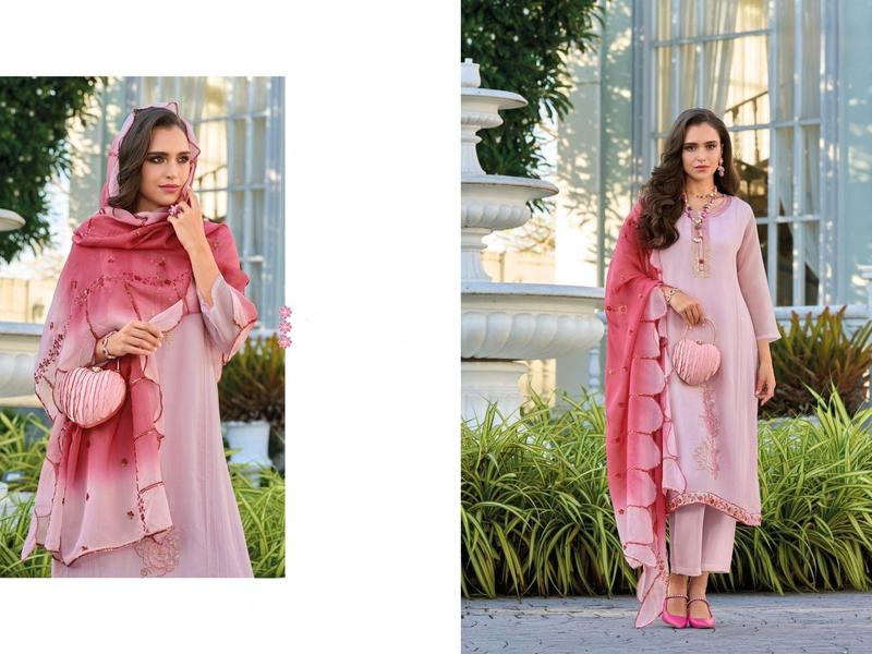 Soft Organza Kurthi Set for Women - Traditional Clothing - Dress Womenswear Traditional Embroidery Dress Comfort